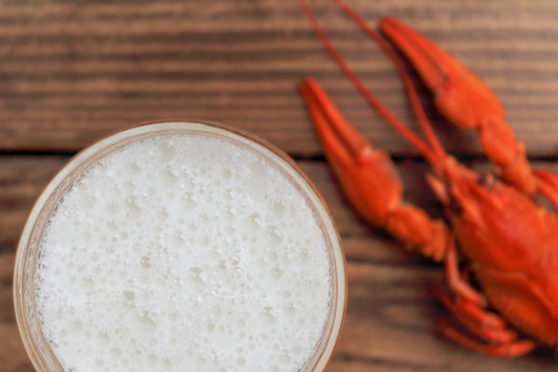 一大杯淡啤酒配上大龙虾。选择性聚焦，特写，拷贝空间。布局设计。图片下载