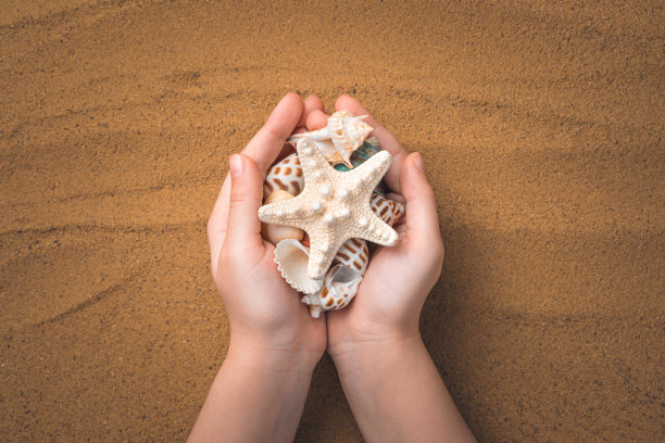 一个孩子拿着海星和贝壳，背景是沙子图片下载