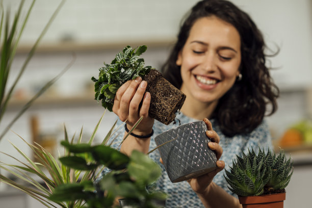 快乐的年轻女孩照顾她的花。库存图片图片下载