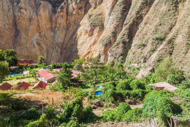 秘鲁科尔卡峡谷底部的绿洲桑加莱图片下载