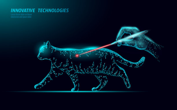 猫兽医诊所手术操作分析图片下载