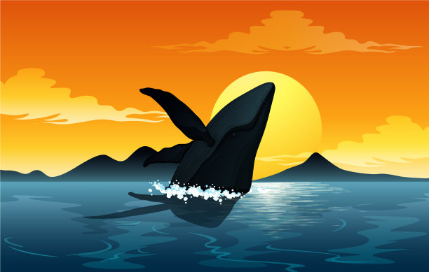 户外自然剪影日落景象图片下载