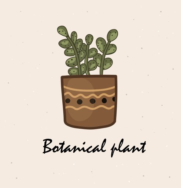 美丽的植物矢量插图，舒适补充任何家居工艺品和角落。米色背景。图片下载