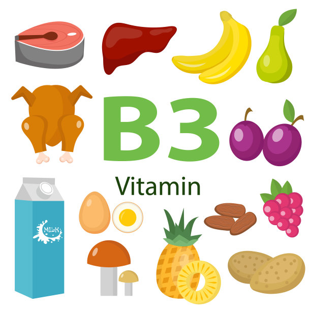 富含维生素和矿物质的食物可以补充维生素图片下载