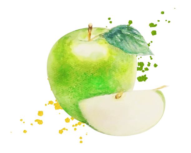 水彩绿苹果孤立的白色背景图片下载