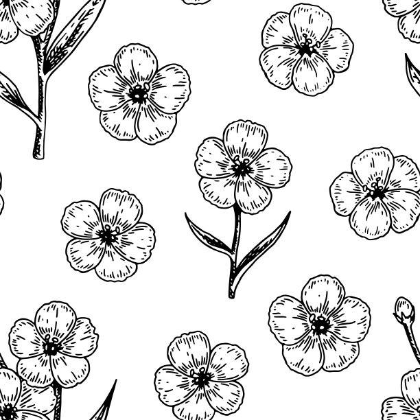 春花无缝图案与手绘设计元素。矢量插图在草图风格。图片下载