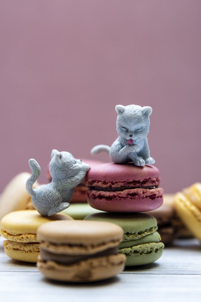 微距摄影玩具小猫们在彩色杏仁饼干周围玩耍。图片下载