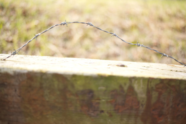 铁丝网图片下载