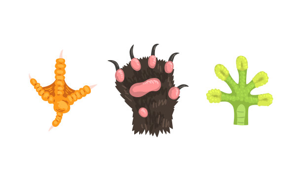 动物肢体与猫爪爪和蜥蜴脚矢量集图片下载