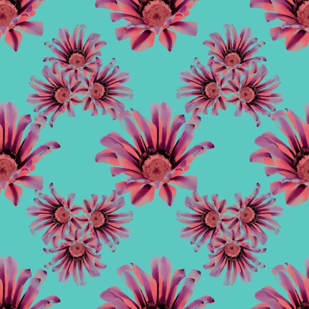 菊花图案图片下载