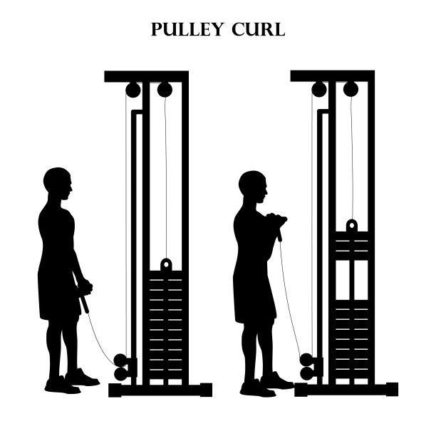 滑轮卷曲运动力量锻炼矢量插图剪影图片下载
