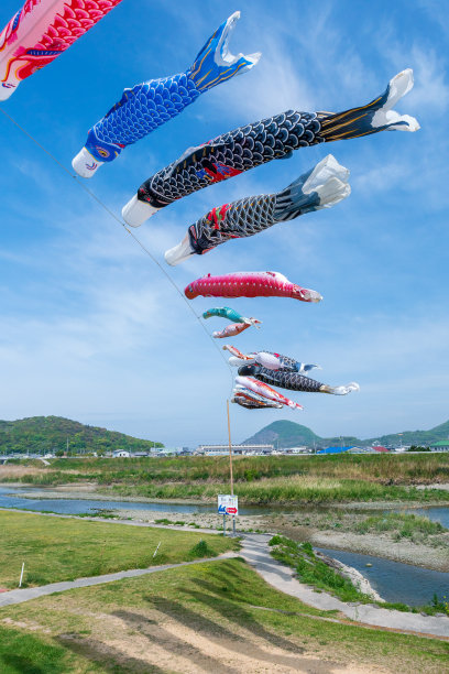 蓝蓝的天空下，鲤鱼在风中摇曳图片下载