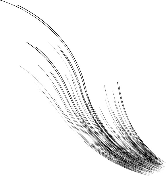 有机杂草草像弯曲的波浪线图片下载