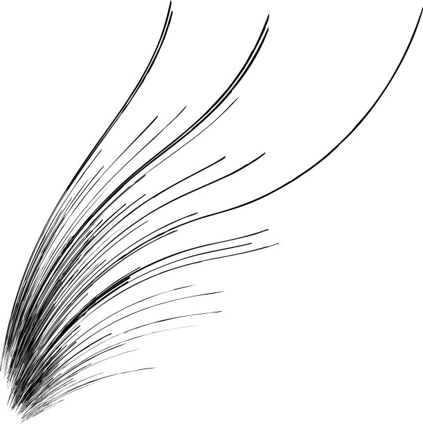 有机杂草草像弯曲的波浪线图片下载