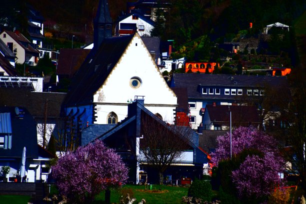 紫色的树在一个村庄图片下载