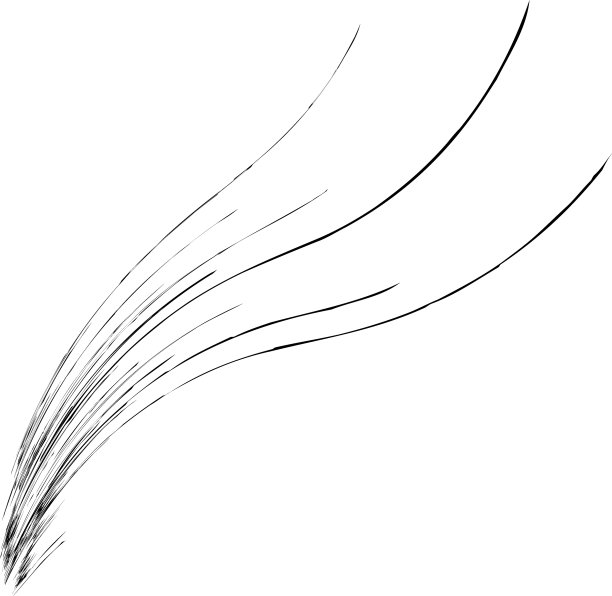 有机杂草草像弯曲的波浪线图片下载