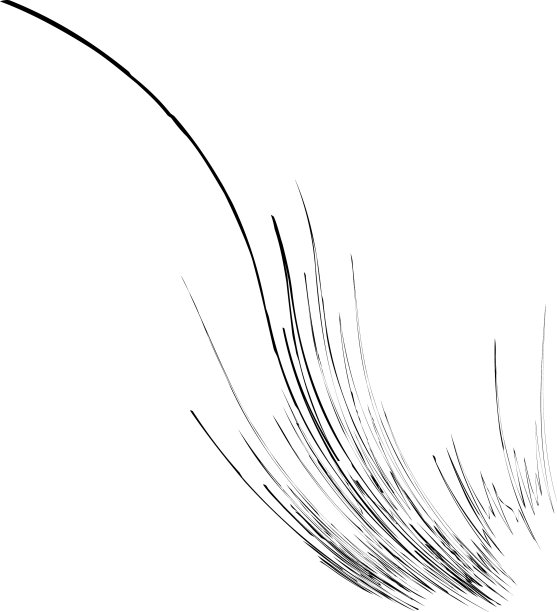 有机杂草草像弯曲的波浪线图片下载