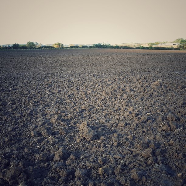 刚耕过的农田图片下载