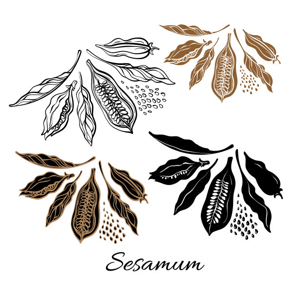 天然芝麻图片下载