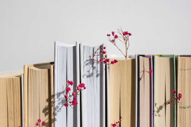 一堆带着婴儿气息的旧书。舒适的阅读。粉嫩的gypsophila花。慢生活的概念。与自然统一。有选择性的重点图片下载