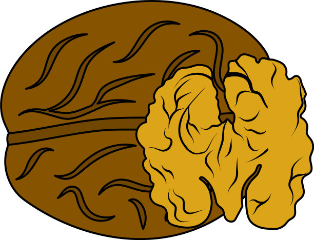 核桃图标图片下载