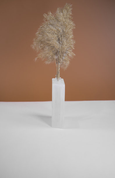 彭帕斯草在一个不透明的玻璃花瓶。图片下载