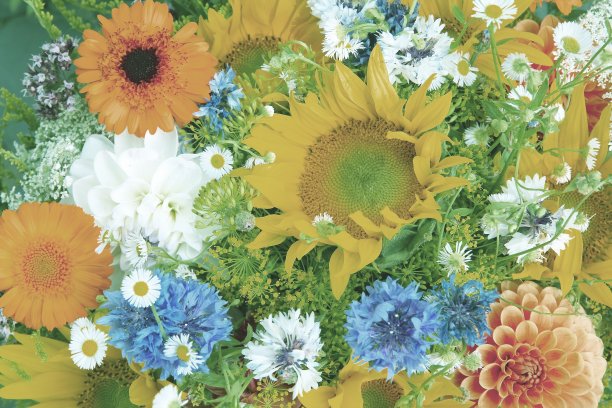 花店插花图片下载