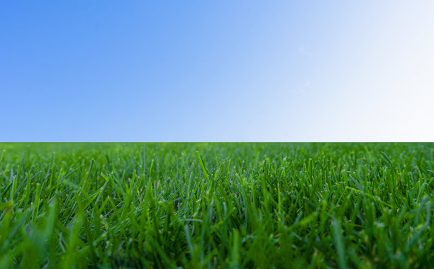 蓝天，春日绿草，骄阳图片下载