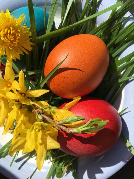 复活节彩蛋图片下载