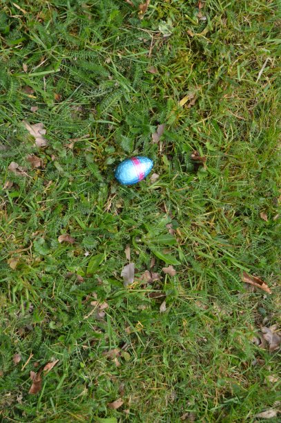 复活节的彩蛋，兔子和小丑。图片下载