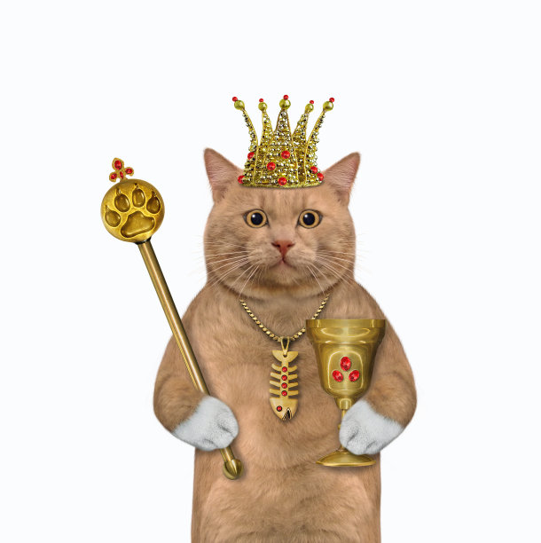 猫红色的权杖和高脚杯图片下载