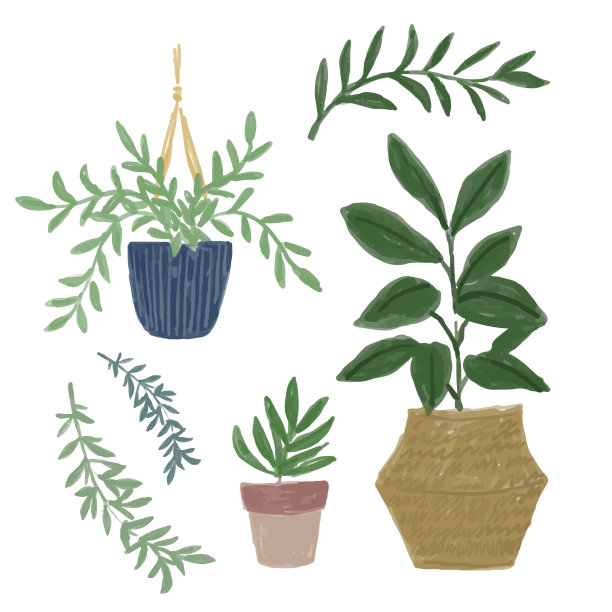 室内植物插图图片下载