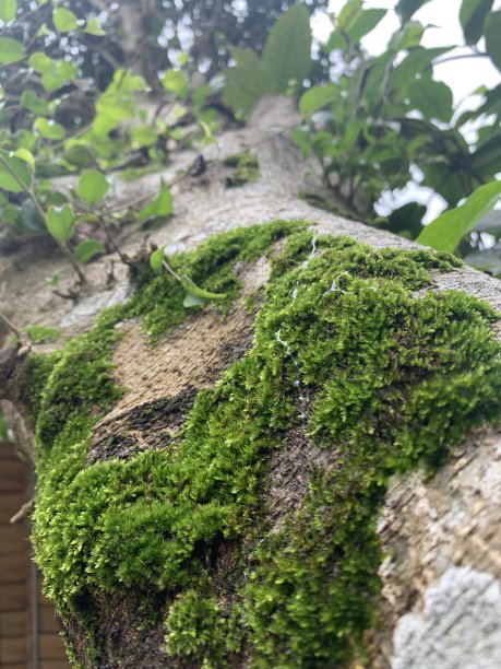 见到你真高兴图片下载