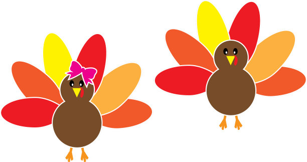 感恩节火鸡图片下载