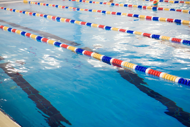 比赛中的泳道奥林匹克大小的游泳池。图片下载