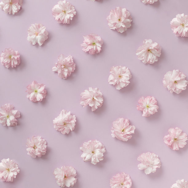 粉红色的花朵图案在粉红色的粉彩背景。最小的弹簧的概念。平躺图片下载