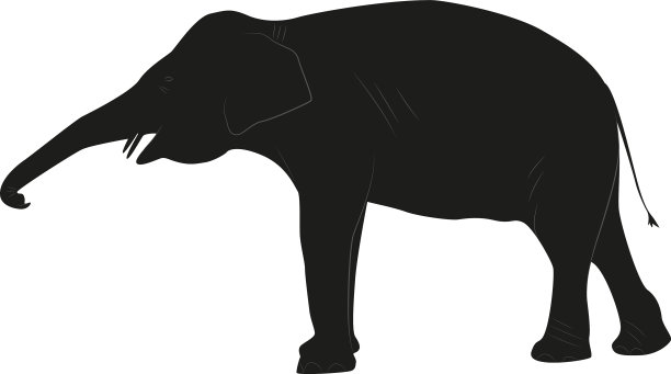 一头大象骑在白布上的黑色剪影图片下载