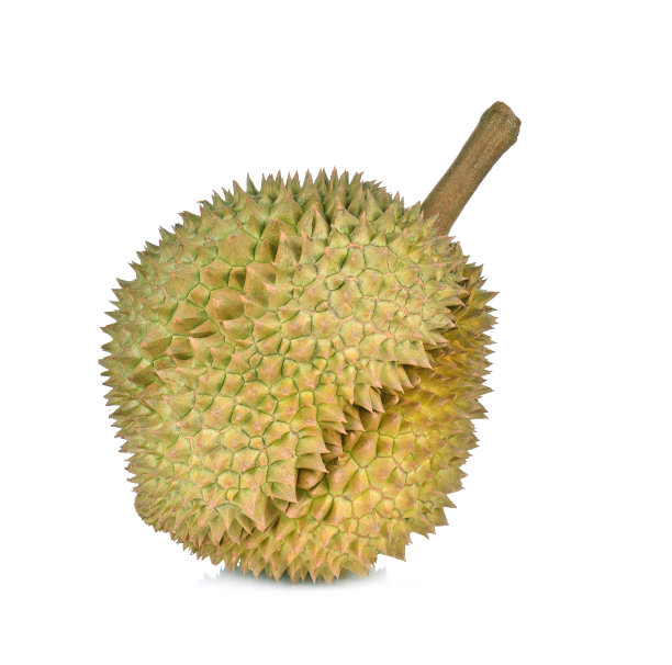 榴莲孤立在白色背景上图片下载