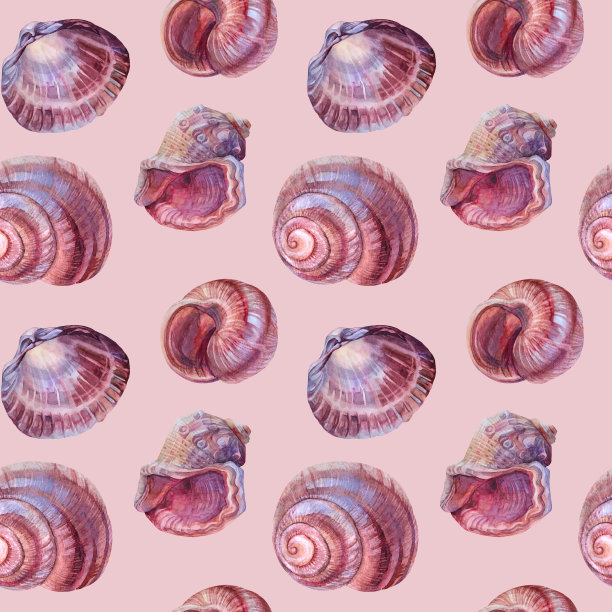无缝模式水彩粉红色棕色螺旋海贝与灰色背景上的珍珠。手绘自然写实的庆祝对象，文具，卡片，墙纸，纺织品，包装图片下载