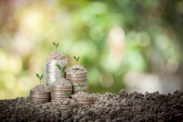 在土壤和植物上堆砌硬币，种植在顶部，概念节省金钱，能源，计划生活，教育，家庭，学校，收入为您的家庭在散景背景。图片下载