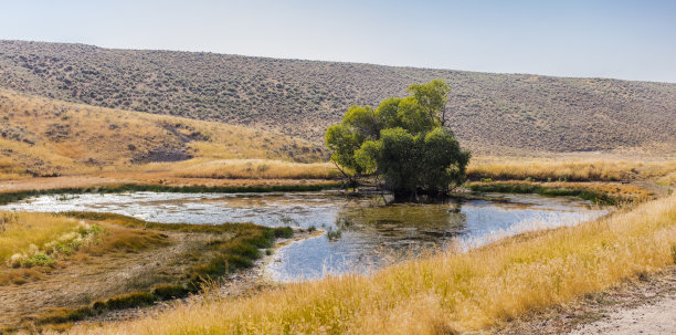 环绕铜山(怀俄明州)的土路沿途的景观图片下载