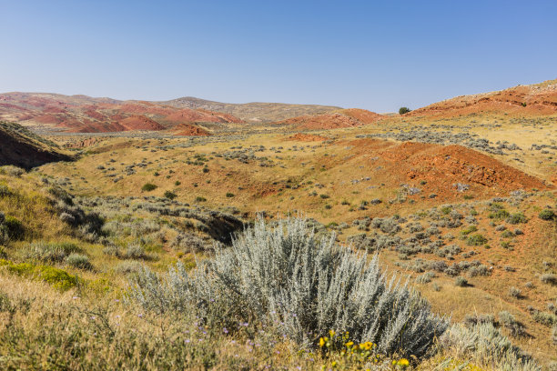 环绕铜山(怀俄明州)的土路沿途的景观图片下载