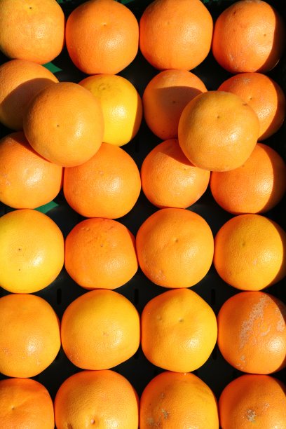 葡萄柚背景图片下载