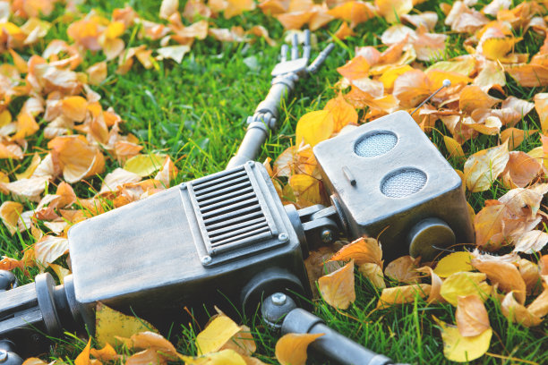 快乐的人形机器人躺在秋天的草地上。图片下载