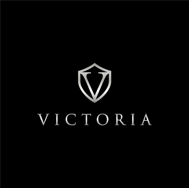 V字盾牌金属银色标志图片下载