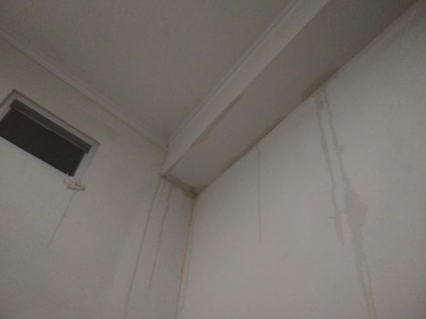 雨让这一切发生图片下载