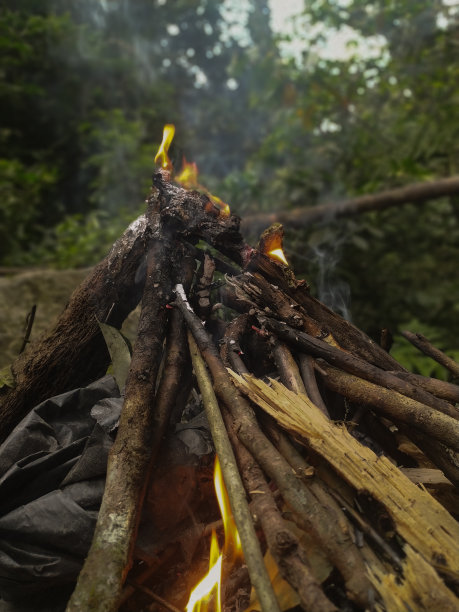 篝火图片下载