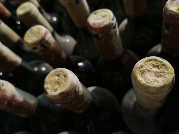 酒窖里的陈年佳酿图片下载