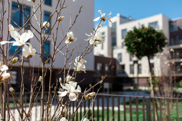 现代公寓住宅区。其他户外设施。图片下载