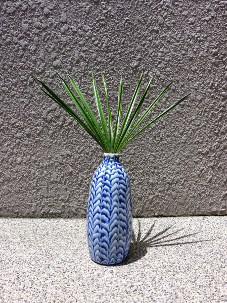 热带的叶子。图片下载